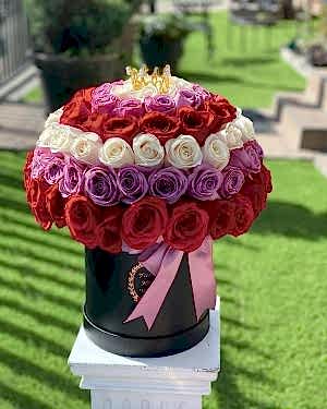 Kutuda Renkli Ekvator Gülleri