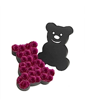 Ayıcık Kutuda Fuşya Gül