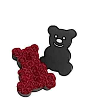 Ayıcık Kutuda Kırmızı Gül