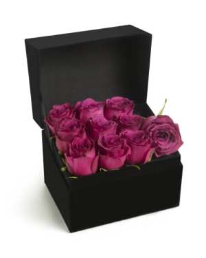 Dikdörtgen Küçük Siyah Kutuda Fuşya Gül