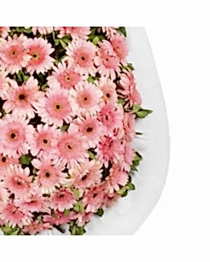 Toz Pembe Gerbera Açılış Çelengi