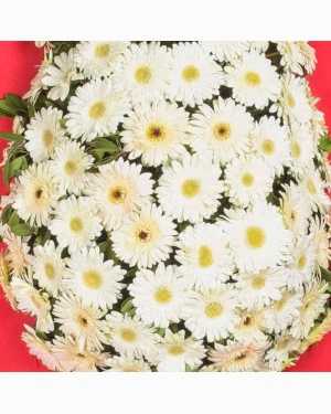 Kırmızı Beyaz Gerbera Kutlama Çelengi