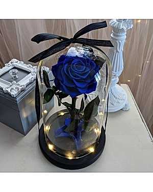 Işıklı Solmayan Gül