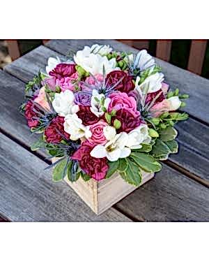 Bahar Sürprizi Aranjmanı