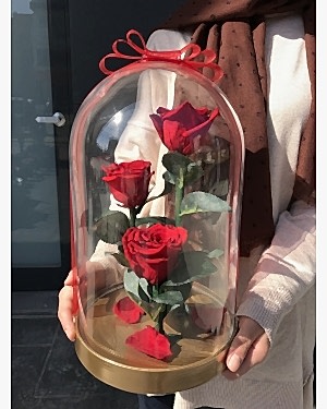 Cam Ters Fanusta Solmayan Gül