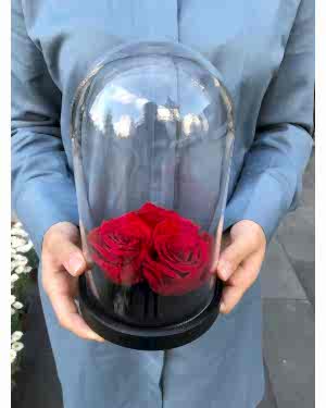 Cam Fanusta Kırmızı Solmayan Güller