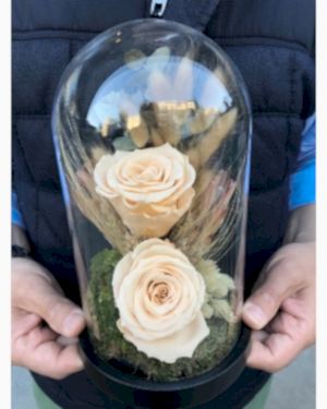 Beyaz Renkli 2 Solmayan Gül