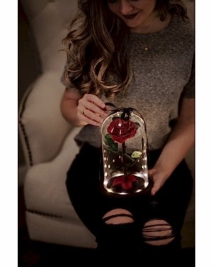 Solmayan Gül Işıklı