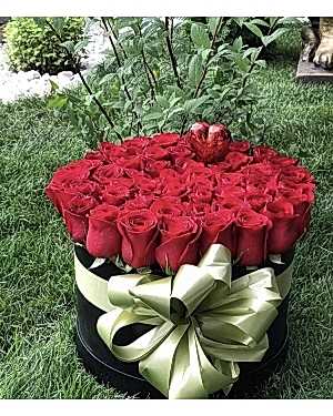 41 Adet Kırmızı Gül