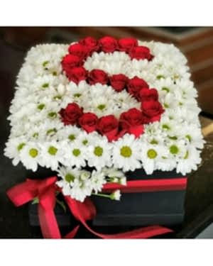 Papatya İçinde S Harfi