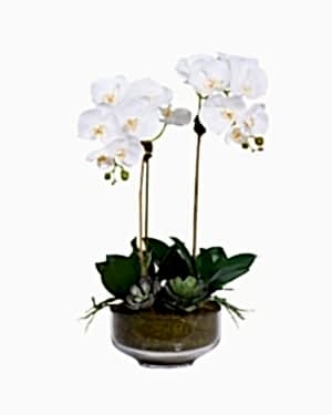 Özel Tasarım 2 Dal Beyaz Orkide