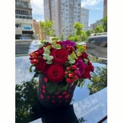 Kutuda 11 İthal Gül