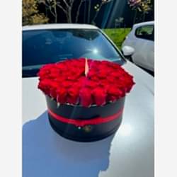 Kutuda 61 İthal Gül