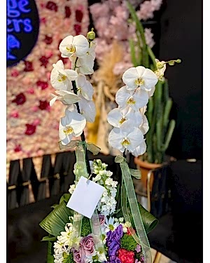 Orkide Aranjmanı