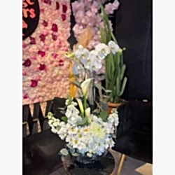 Beyaz Orkide Aranjmanı