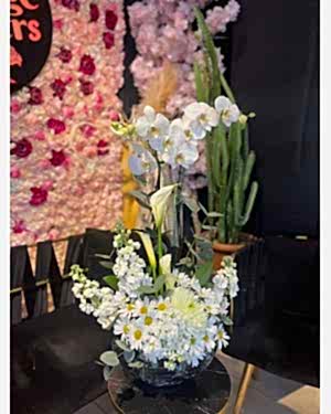 Beyaz Orkide Aranjmanı