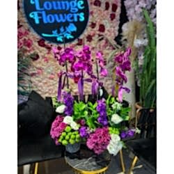 Renkli Orkide Aranjmanı