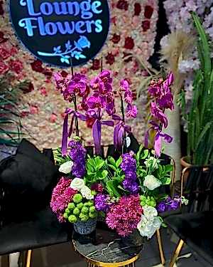 Renkli Orkide Aranjmanı