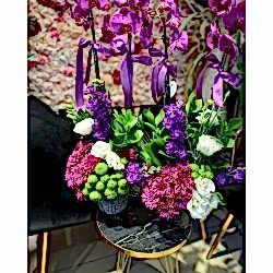 Renkli Orkide Aranjmanı